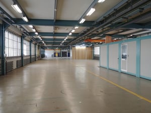 halle rieter startups