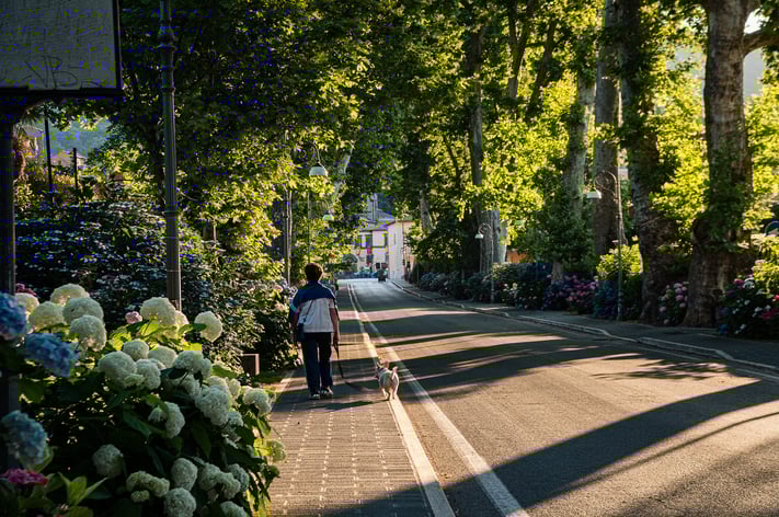 street-gc442cfe34_1920